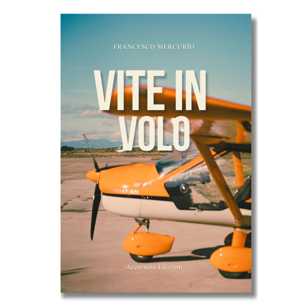 vite in volo 1000 (2)
