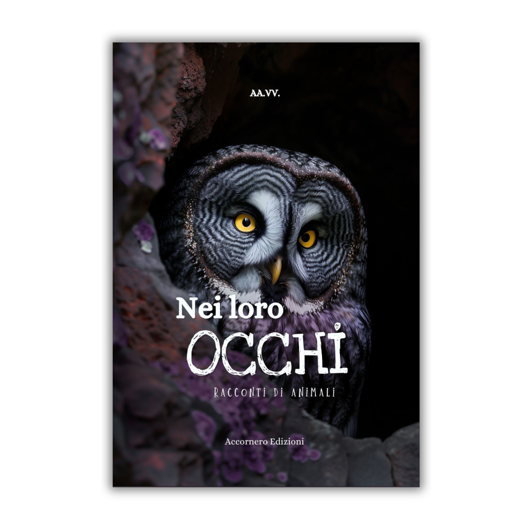 nei loro occhi (1000 × 1000 px)